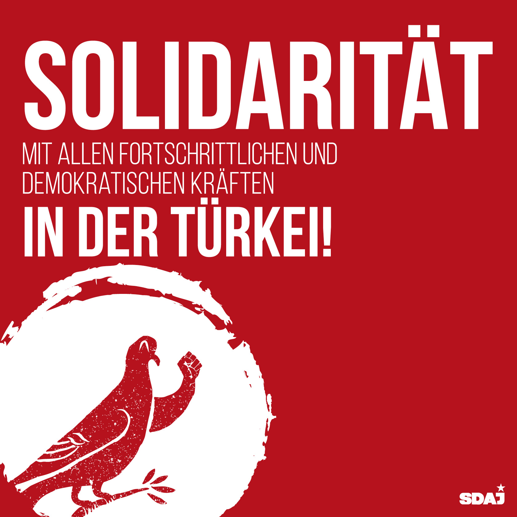 Solidarität mit allen fortschrittlichen und demokratischen Kräften in der Türkei