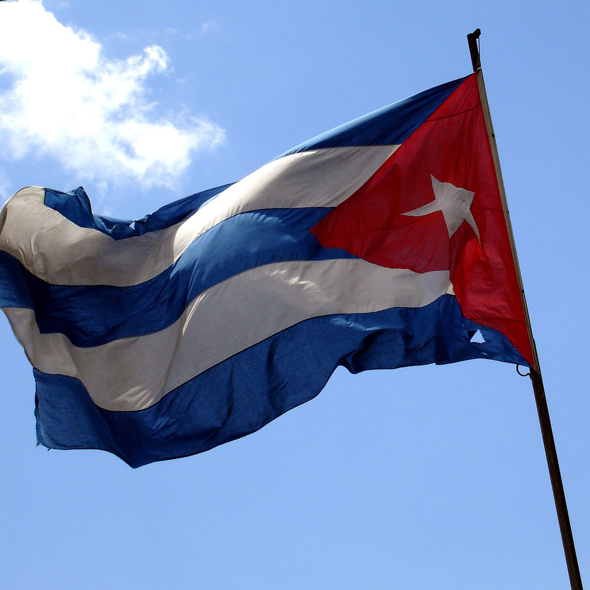 Viva Cuba Socialista (2013)