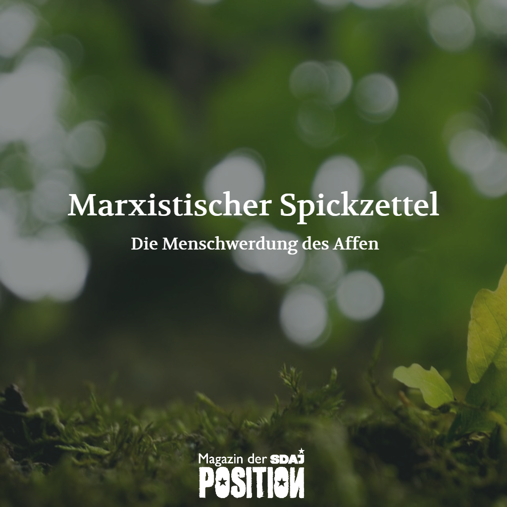 Die Menschwerdung des Affen (POSITION #02/19)…