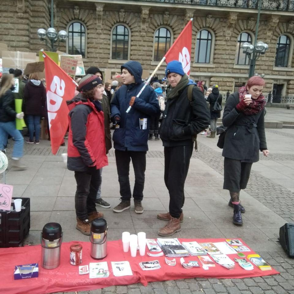 Klimastreik in Hamburg