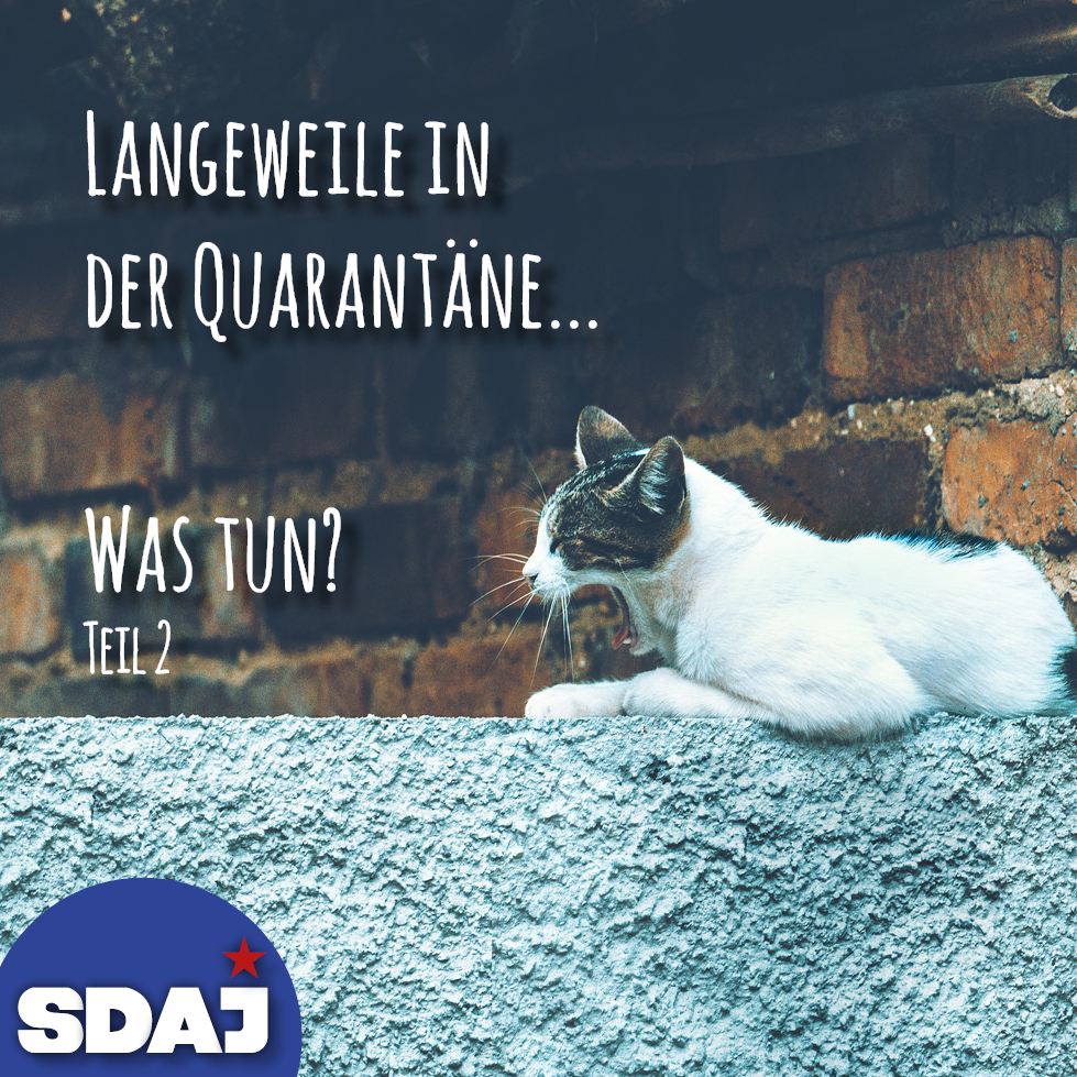 Quarantäne – Was tun? (Teil II)