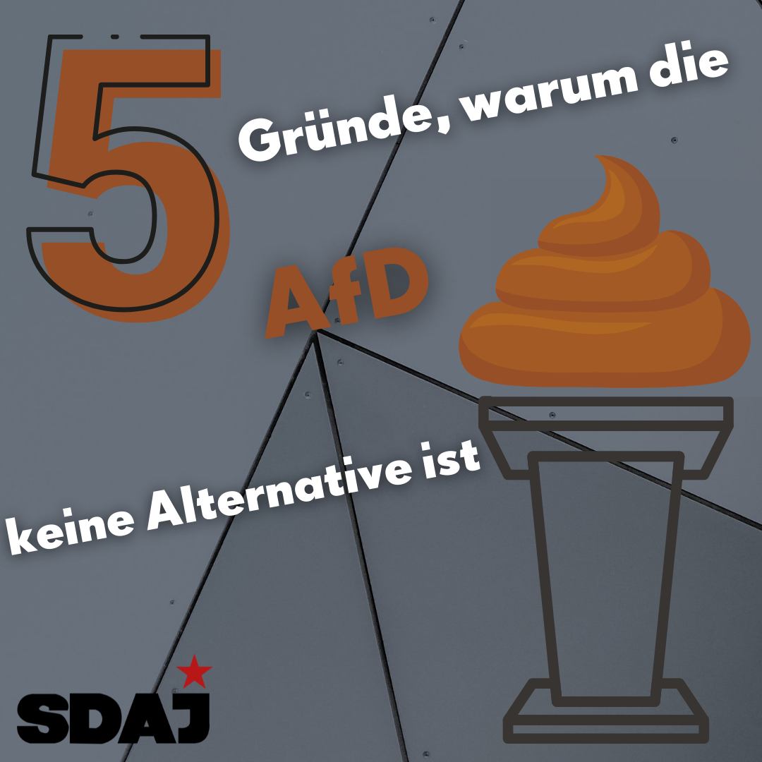 5 Gründe warum die AfD keine Alternative ist